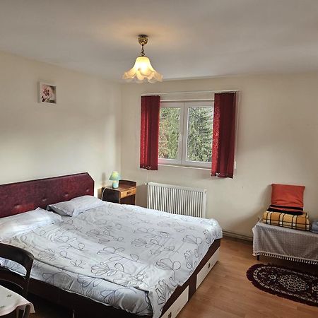 Apartament Retro-Relax Σινάια Εξωτερικό φωτογραφία