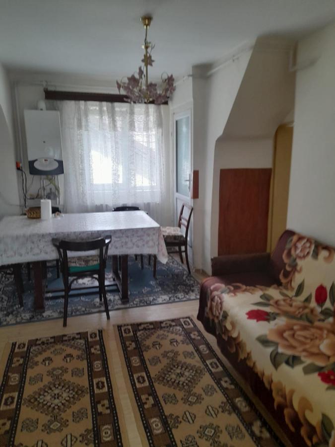 Apartament Retro-Relax Σινάια Εξωτερικό φωτογραφία