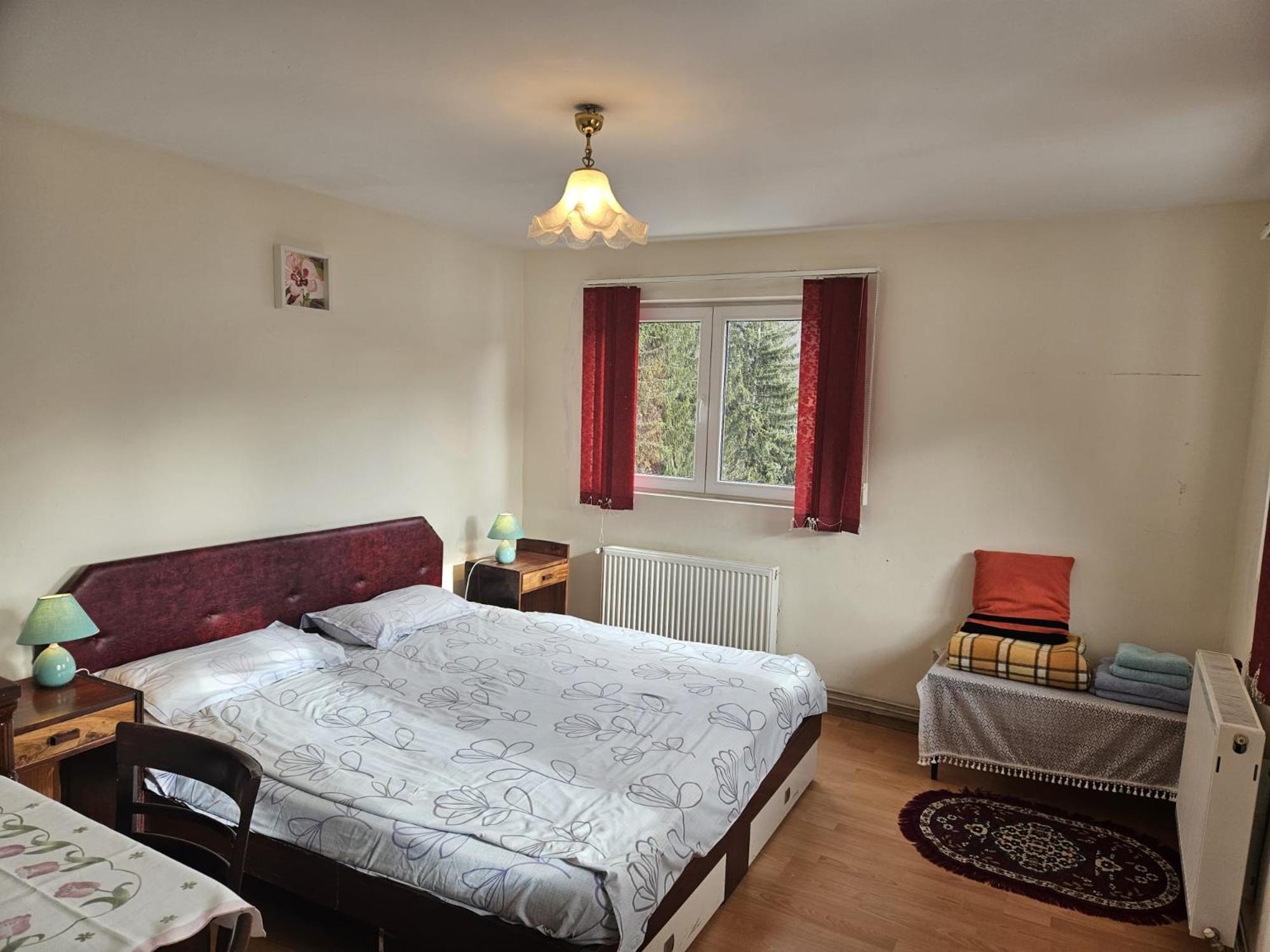 Apartament Retro-Relax Σινάια Εξωτερικό φωτογραφία